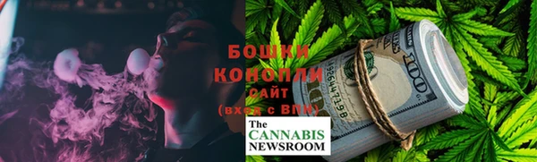ПСИЛОЦИБИНОВЫЕ ГРИБЫ Инсар
