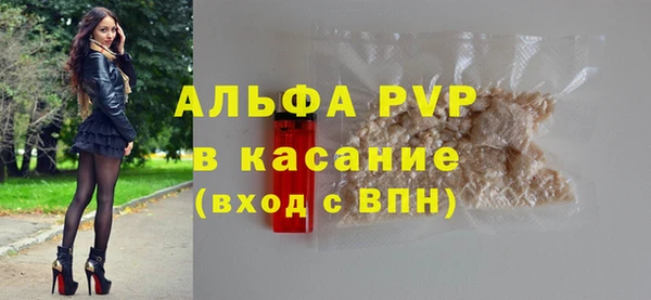 ПСИЛОЦИБИНОВЫЕ ГРИБЫ Инсар